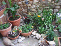 Il nostro giardino - Our garden